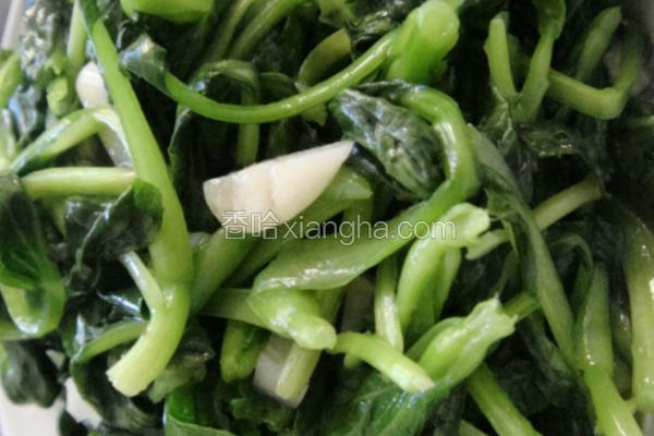 清炒小青菜