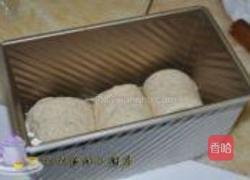 中种法小麦胚芽土司的做法图解12