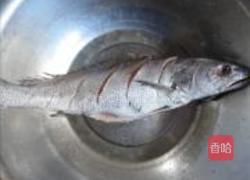 红烧大黄鱼的做法图解2