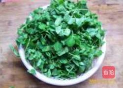 清水油盐豌豆苗的做法图解1
