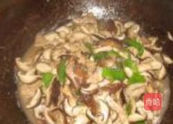 香菇肉片盖饭的做法图解8