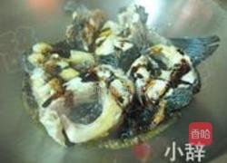 红烧鱼块的做法图解4