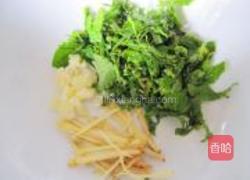 薄荷鲮鱼的做法图解1