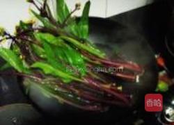 蒜泥油菜的做法图解3