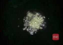 蒜蓉油麦菜的做法图解4