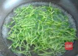 萝卜丝拌豆苗的做法图解3