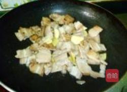 干锅茶树菇的做法图解3