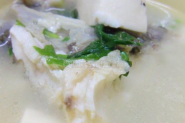 鱼头豆腐汤