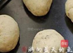 核桃酸奶苏打面包的做法图解8