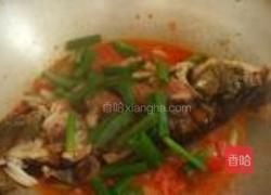 番茄烧鱼的做法图解9