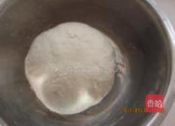 花椒饼的做法图解1