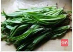 蒜蓉油麦菜的做法图解1