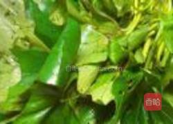 爆炒红薯藤的做法图解2