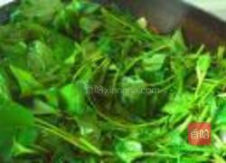 爆炒红薯藤的做法图解6