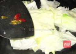 泡椒包菜的做法图解4