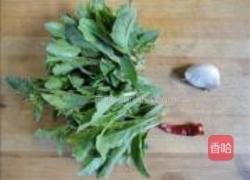 凉拌枸杞头的做法图解1