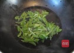 凉拌枸杞头的做法图解3