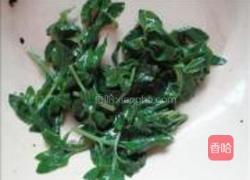 凉拌枸杞头的做法图解4