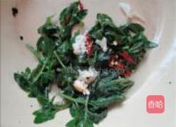 凉拌枸杞头的做法图解5