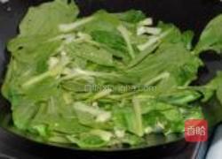 蒜茸油菜的做法图解5
