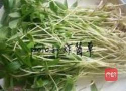 上汤绿豆苗的做法图解1