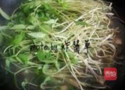 上汤绿豆苗的做法图解5