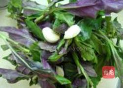 凉拌紫背菜的做法图解1