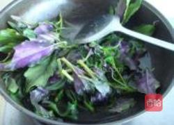 凉拌紫背菜的做法图解3
