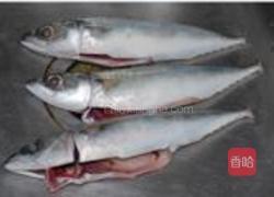 姜丝煮鲅鱼的做法图解1