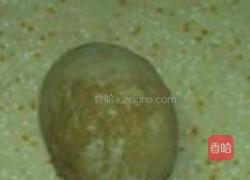 皮蛋粥的做法图解4