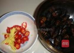 爆炒蚕蛹的做法图解1