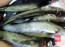鲶鱼炖茄子的做法图解1