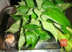 蒜香红薯叶的做法图解1