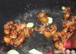 爆炒金蝉的做法图解6