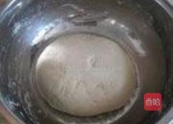 鲅鱼水饺的做法图解14