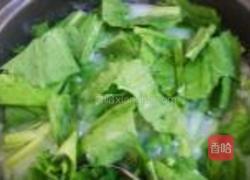 排骨苦菜粥的做法图解7