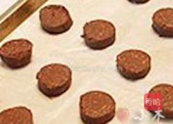 巧克力曲奇的做法图解8
