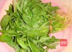 清炒芝麻苋菜的做法图解1