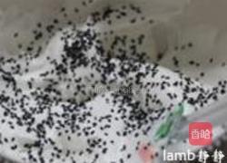 黑芝麻天使蛋糕的做法图解7