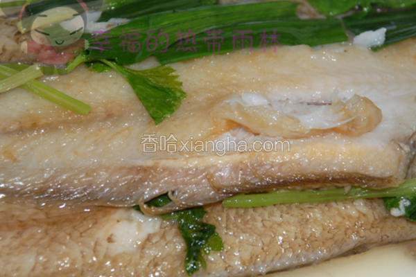 清煮龙舌鱼
