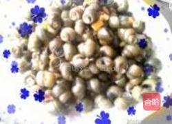 香辣田螺的做法图解4