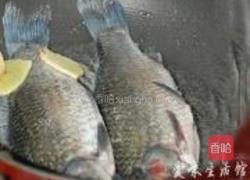 鲫鱼豆腐汤的做法图解3