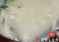 鲫鱼豆腐汤的做法图解6