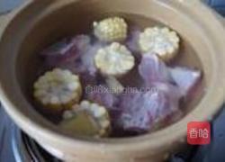 紫菜玉米排骨汤的做法图解3