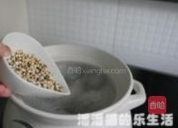 薏米冬瓜排骨汤的做法图解5