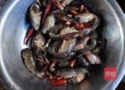 椒盐龙虾的做法图解1