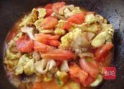 香菇西红柿炒鸡蛋的做法图解9
