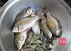 河虾烧鲫鱼的做法图解1