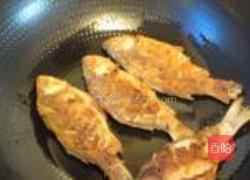 河虾烧鲫鱼的做法图解5