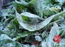粉蒸芹菜叶的做法图解3